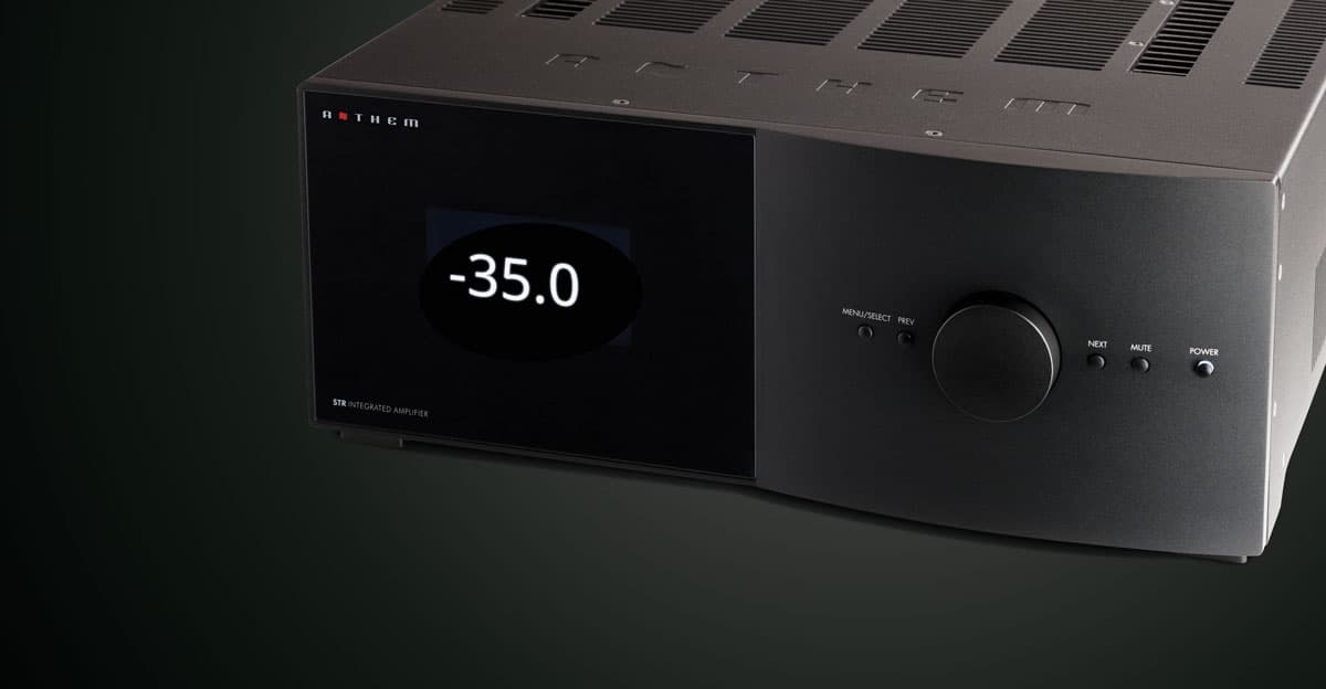 Close up of monstera leaf